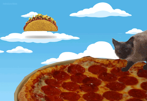 tacocat